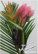bq 2 ginger pink