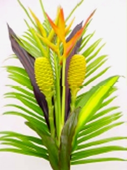 bq 7 maraca